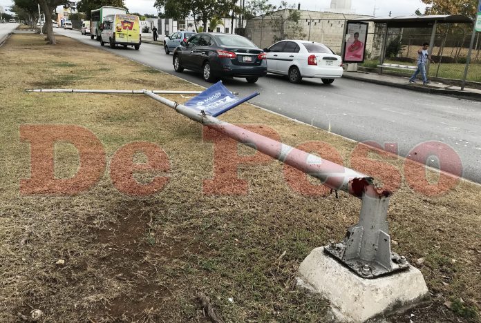Lo botó el viento 