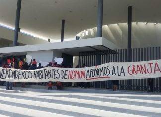 Pobladores de Homún apoyan granja porcícola Pobladores de Homún apoyan granja porcícola
