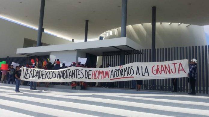 Pobladores de Homún apoyan granja porcícola