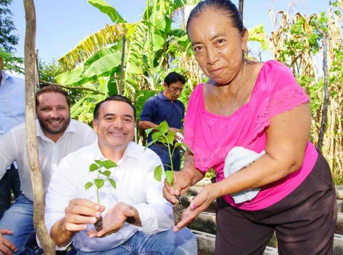 Reni apuesta por Mérida verde