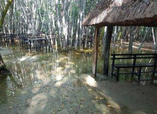 Cierran el ‘Corchito’ de Progreso, por inundación Cierran el 'Corchito' de Progreso, por inundación