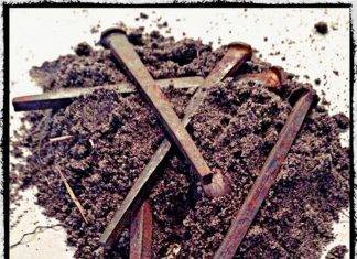Enigmas: la solución a la “tierra de cementerio” Enigmas: la solución a la “tierra de cementerio”