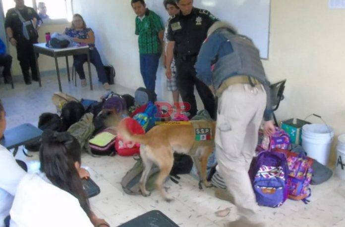 Descubren a chamacos con mota y coca en las mochilas