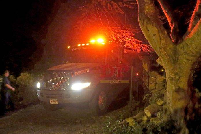 Granja porcícola arde en Hunucmá. Se achicharran seis lechonas y sus crías