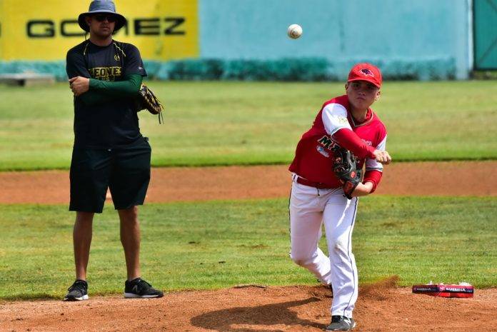 Buscan sangre joven