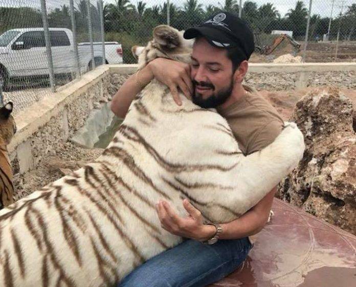 Por culpa de su 'gatito' volverá a prisión