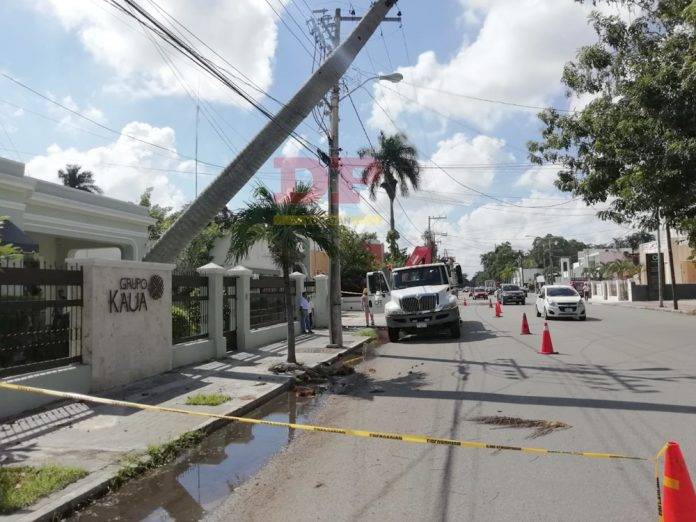 Cables de luz y TV evitan que palmera caiga por completo en calles de Itzimná