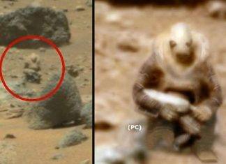 Captan a supuesto soldado alienígena en la superficie de Marte Captan a supuesto soldado alienígena en la superficie de Marte Para los seguidores del fenómeno OVNI, las fotos publicadas esta semana por la NASA son prueba contundente de vida en el Planeta Rojo.
