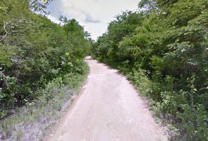 Mujer desaparecida en Tekax es hallada en predio abandonado en el monte