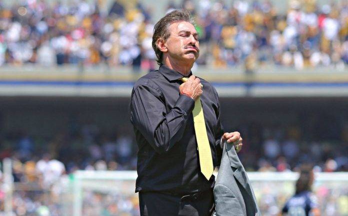 La Volpe está nuevamente disponible, ¿Quién se apunta?