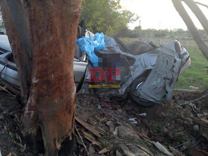 Un árbol termina con la vida de prometedor beisbolista en Tixméuac