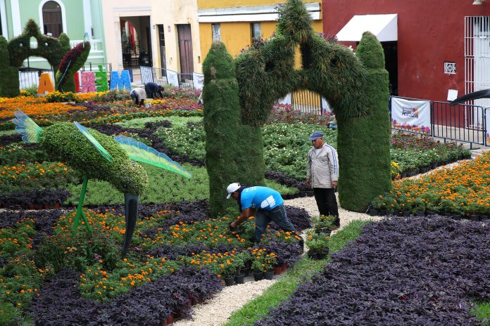 Resaltan éxito del “Camino de Flores”