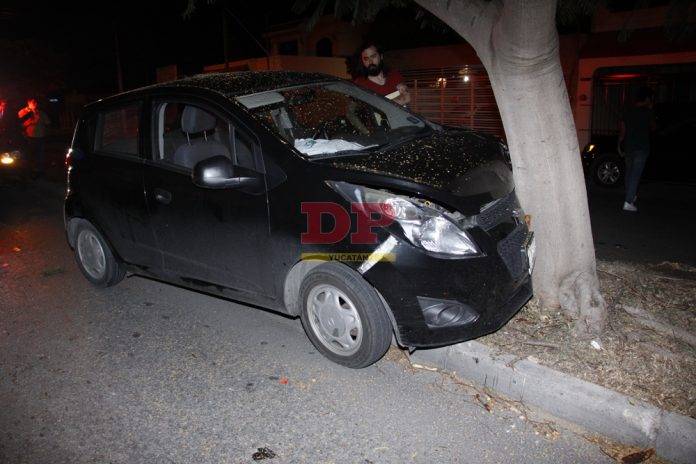 Un árbol se mete en el camino de un conductor dormilón