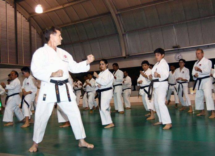 Fallece destacado artemarcialista