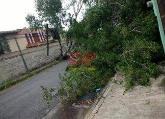 Viento y lluvia provocan caos en Yucatán Lluvia mañanera provoca caos en Yucatán