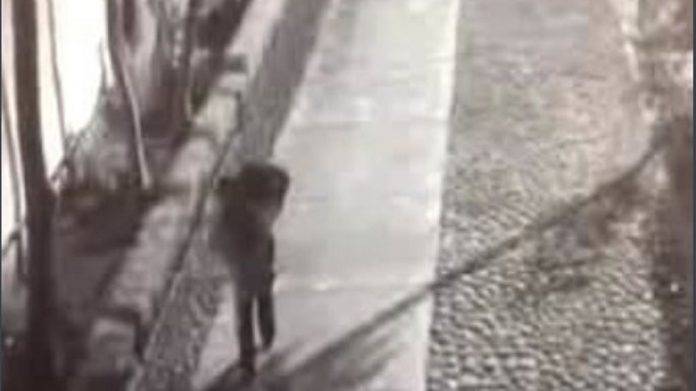 Carga y abandona en una maleta el cadáver de su novia