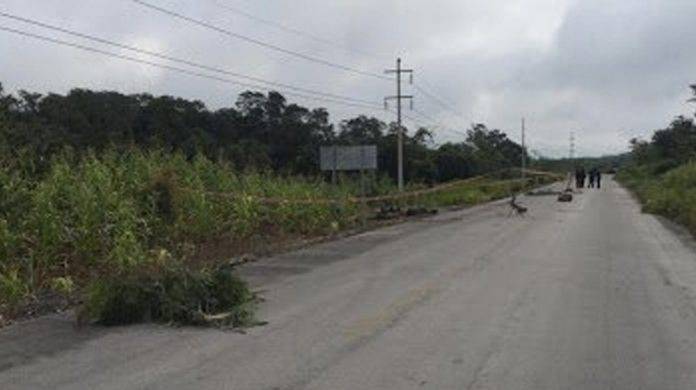 Hallan en Quintana Roo a tres sinaloenses calcinados