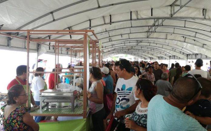 La cuarta edición del Festival de la Chicharra será el próximo 24 de este mes, de 11 de la mañana a 5 de la tarde por el rumbo de Xcalachén.