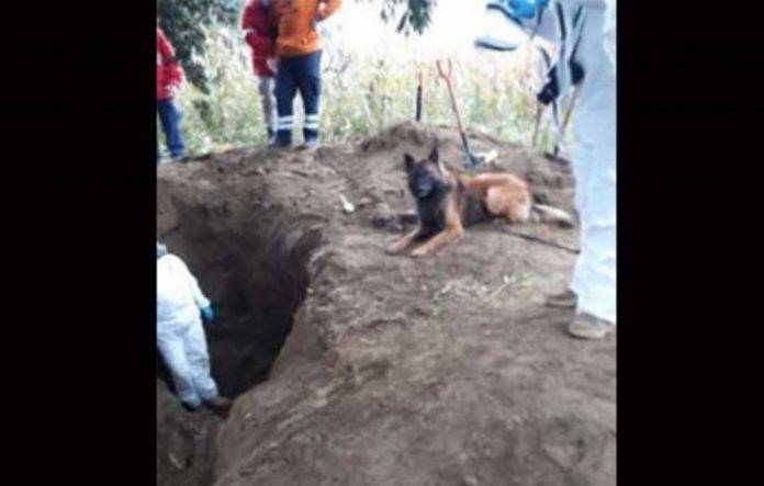 En fosas clandestinas hallan los cadáveres de ocho secuestrados
