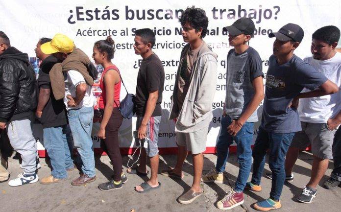Unos 500 migrantes ya pidieron empleo en Tijuana