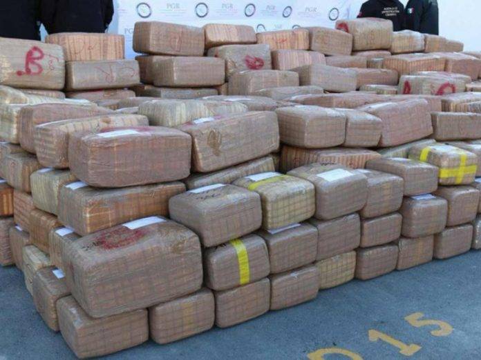 Más de 4 toneladas de mariguana se decomisaron en Nuevo León