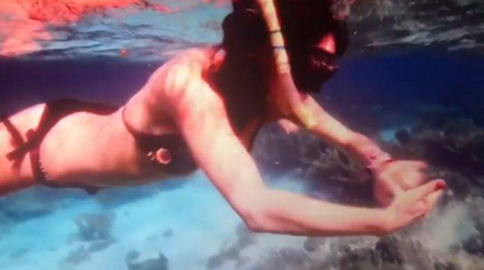 Paola Rojas presume 'carnitas' con sensual bikini bajo el mar