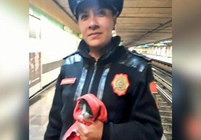 Rescatan a un gatito en la línea del metro de la CDMX