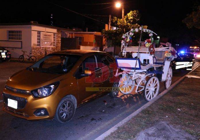 Acelerado guiador le dio su llegue a calesa tirada por un caballo