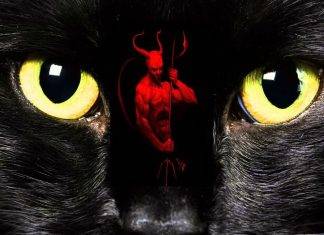 Enigmas: conoce la “mala fama” de los gatos negros Enigmas: la “mala fama” de los gatos negros