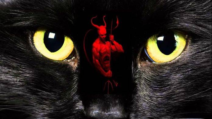 Enigmas: la “mala fama” de los gatos negros