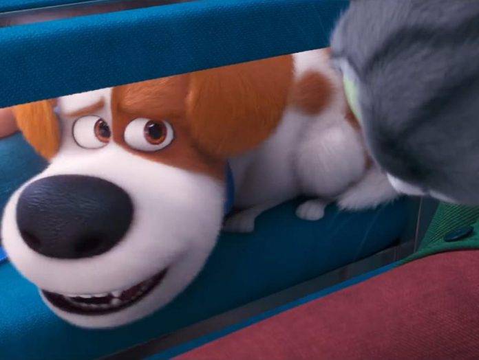 Lanzan nuevo tráiler de la cinta 'La vida secreta de tus mascotas 2'