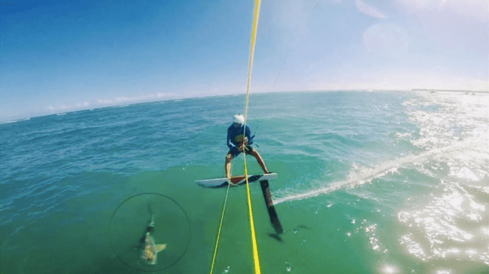 Surfista se estrella contra tiburón en el mar