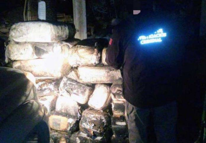 Decomisan más de una tonelada de mota en Tijuana