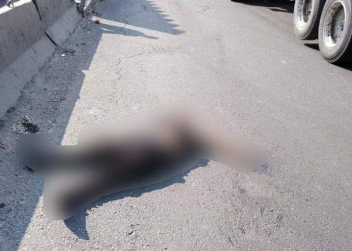 Ladrón atropellado y muerto luego de robar en transporte público
