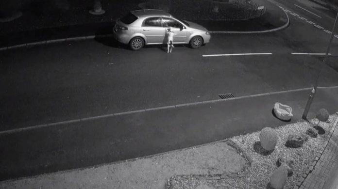 Abandona a su perro con todo y cama a mitad de la calle (video)