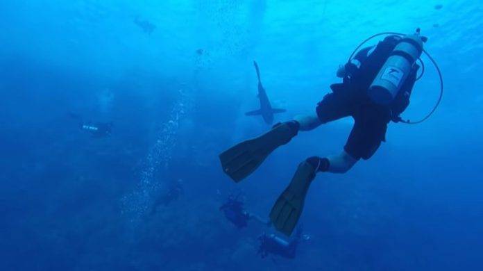 Buceador mordisqueado en la pierna por un tiburón