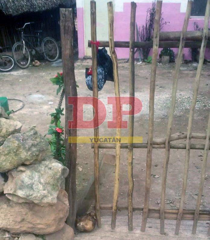Encuentra dos cráneos humanos en la puerta de su casa