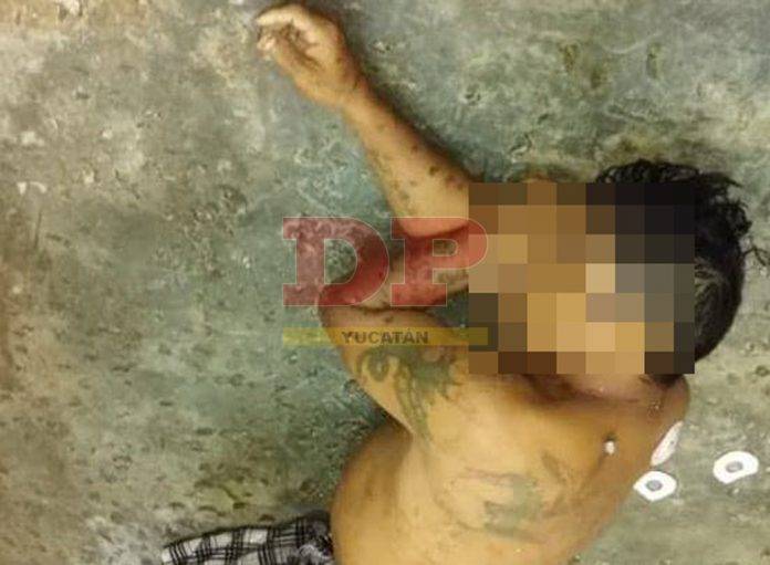 Reo muere por sobredosis y atragantamiento en Tecoh