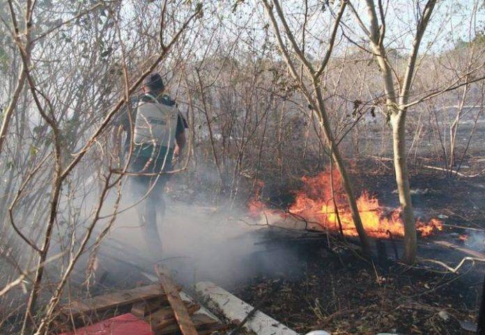 Culpan al viento del incendio y libran la cárcel