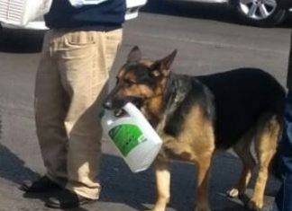 Perrito hace fila en gasolinera con su garrafón Perrito hace fila en gasolinera con su garrafón