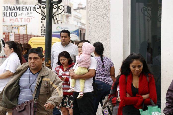 Agarra tu cobertor de tigre, se prevé mucha heladez para el fin de semana