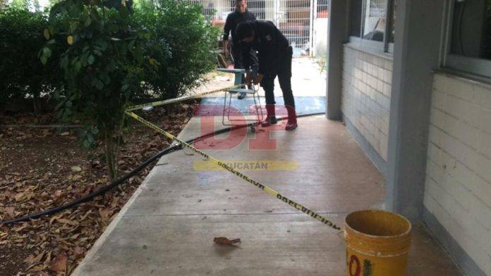Malandros agarran a tubazos al 'veladuerme' del CBTIS 80 de Motul