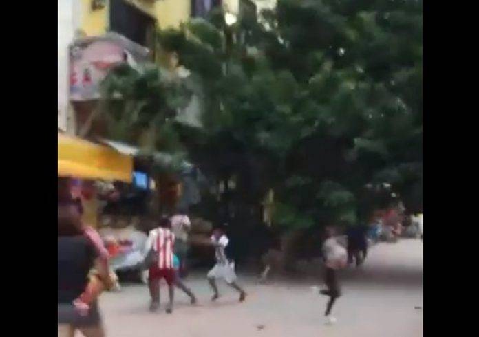 Árbol casi aplasta a paseantes de la Quinta Avenida (video)