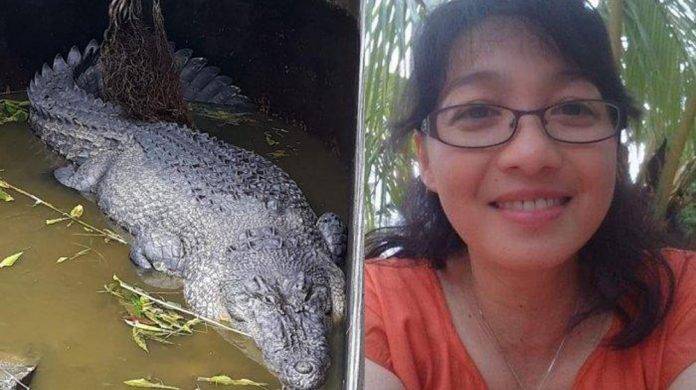 Cocodrilo de 5 metros devora a su cuidadora que lo alimentaba