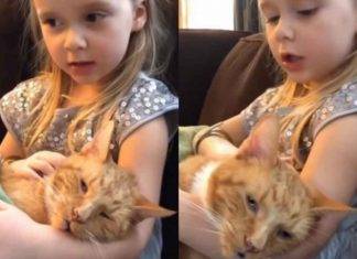 Dulce niña le cantó a su gatito viejo hasta que murió (video) La pequeña nena había tenido como amigo al gato desde que ella nació.