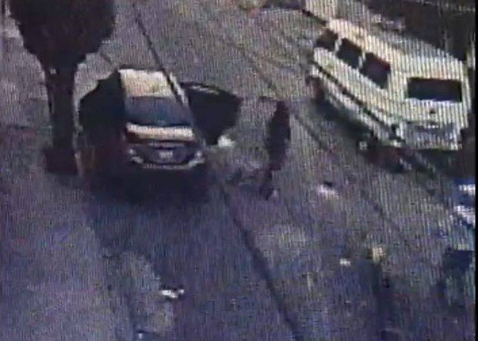 Delincuentes ya roban hasta perros a plena luz del día