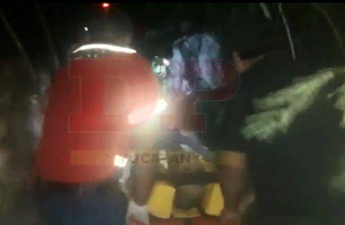 Búsqueda intensiva permite ubicar a señor extraviado en el monte (video)