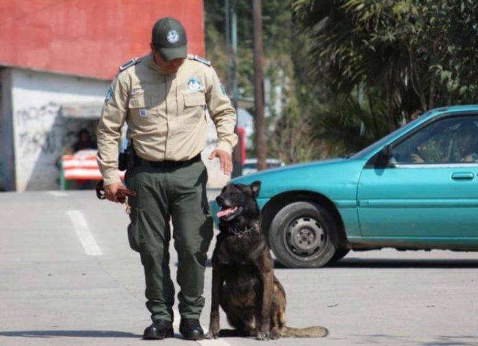 Rescatan a madre e hija secuestradas y arrestan a sus plagiarios