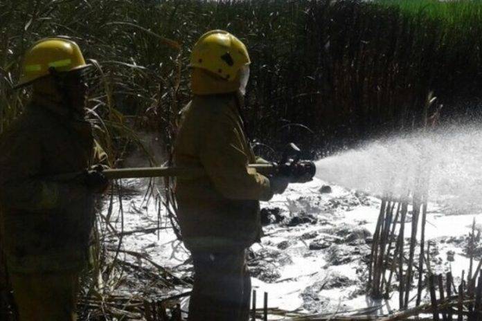 El incendio en Querétaro parece que no ha traído mayores consecuencias.