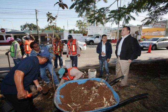 Reni cumple con reforestar Mérida